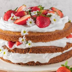 White Cake With Fresh Strawberries